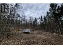 27681 Highway 60 Highway, South Algonquin, ON K0J2M0 Photo 16
