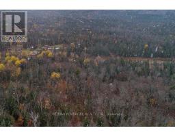 27681 Highway 60 Highway, South Algonquin, ON K0J2M0 Photo 6