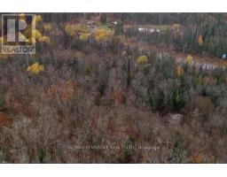 27681 Highway 60 Highway, South Algonquin, ON K0J2M0 Photo 7