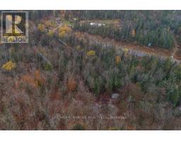 27681 Highway 60 Highway, South Algonquin, ON K0J2M0 Photo 8