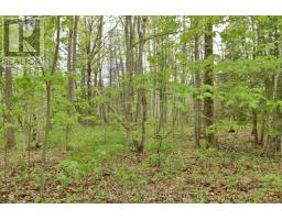 00 Milton Stewart Avenue, Mcnab/braeside, ON K7S0E1 Photo 8