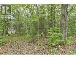 00 Milton Stewart Avenue, Mcnab/braeside, ON K7S0E1 Photo 22