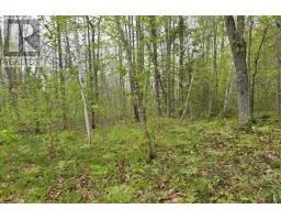 00 Milton Stewart Avenue, Mcnab/braeside, ON K7S0E1 Photo 14