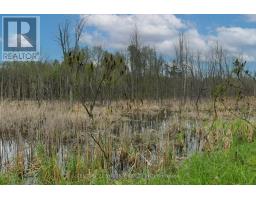 00 Milton Stewart Avenue, Mcnab/braeside, ON K7S0E1 Photo 15