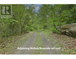 00 Milton Stewart Avenue, Mcnab/braeside, ON K7S0E1 Photo 16