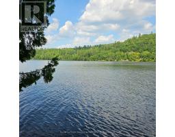 1267 Snake Creek Road, Mattawan, ON P0H1V0 Photo 11