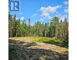 1267 Snake Creek Road, Mattawan, ON P0H1V0 Photo 7