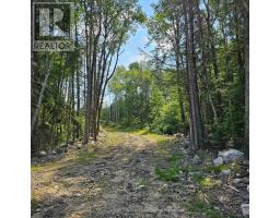 1267 Snake Creek Road, Mattawan, ON P0H1V0 Photo 8