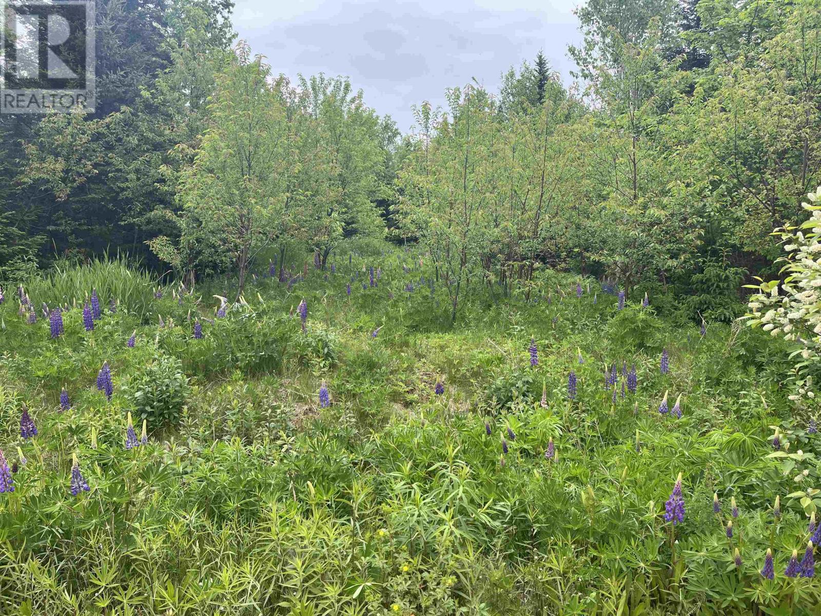 0 Driftwood Lane, Stanley Bridge — photo 2