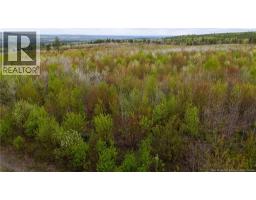 Lot 37 Davidson Road, Anagance, NB E4Z1E1 Photo 11