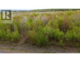 Lot 37 Davidson Road, Anagance, NB E4Z1E1 Photo 12