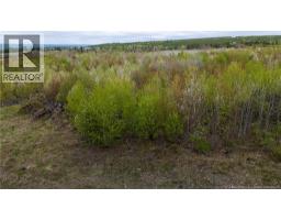 Lot 37 Davidson Road, Anagance, NB E4Z1E1 Photo 13