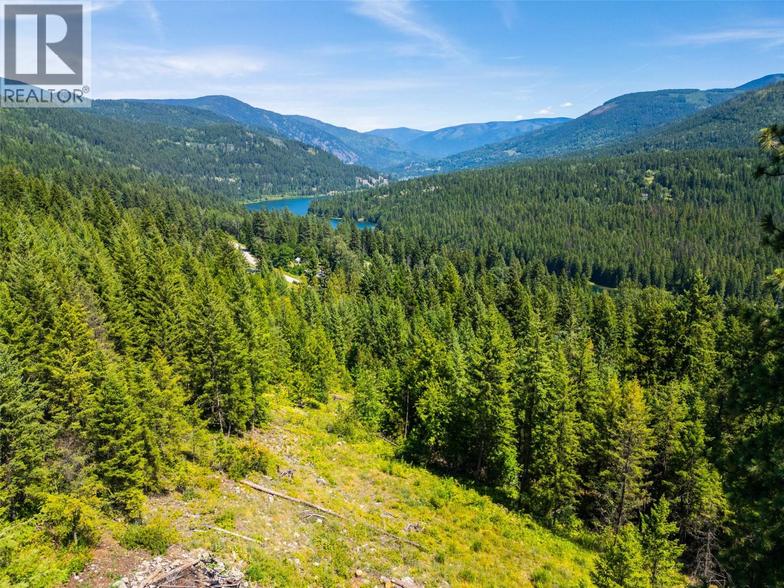 Vacant Land for Sale in Beasley – 4583 Falls Creek Road, Beasley - Image 16