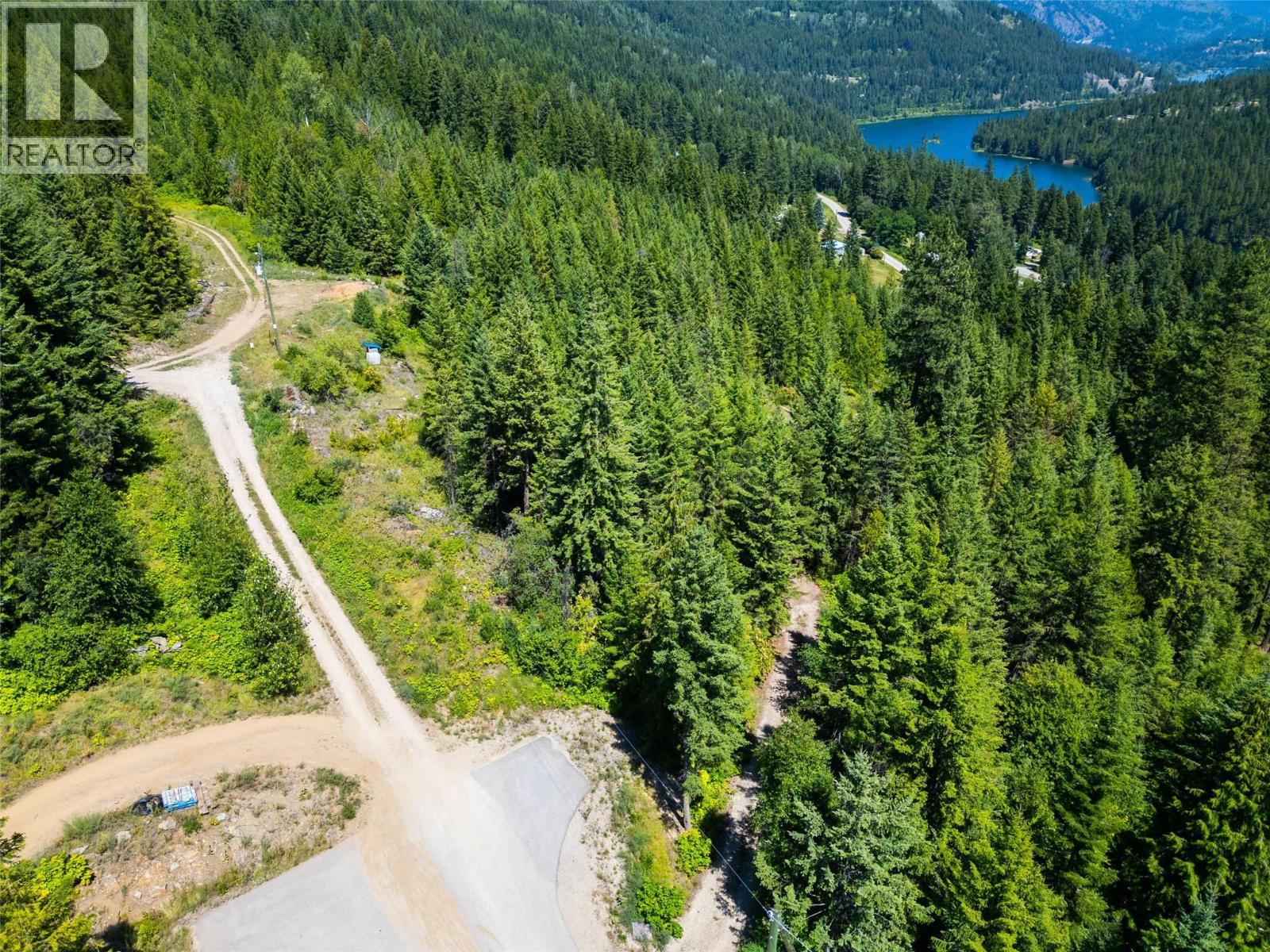Vacant Land for Sale in Beasley – 4583 Falls Creek Road, Beasley - Image 5