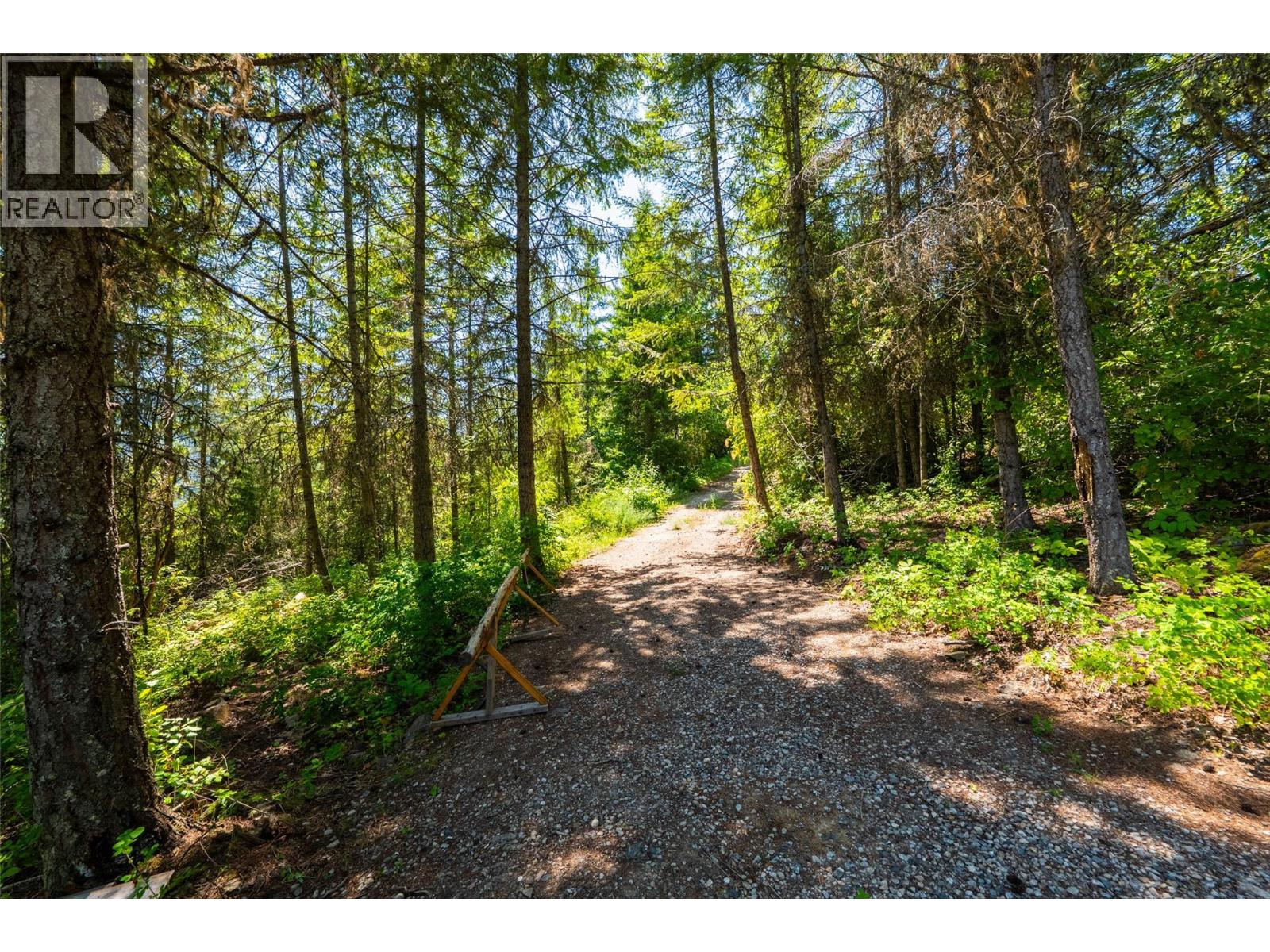 Vacant Land for Sale in Beasley – 4583 Falls Creek Road, Beasley - Image 17