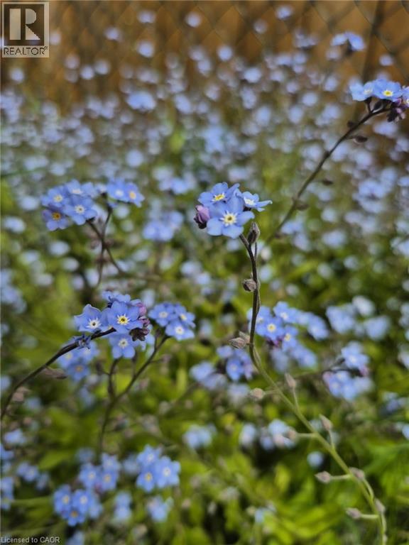 86 MANITOBA Street - 34