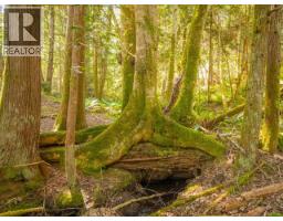 5029 Paxton Road, Texada Island, BC V0N3K0 Photo 50