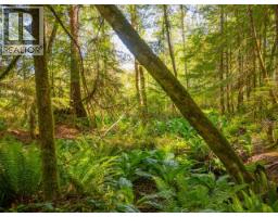 5029 Paxton Road, Texada Island, BC V0N3K0 Photo 51