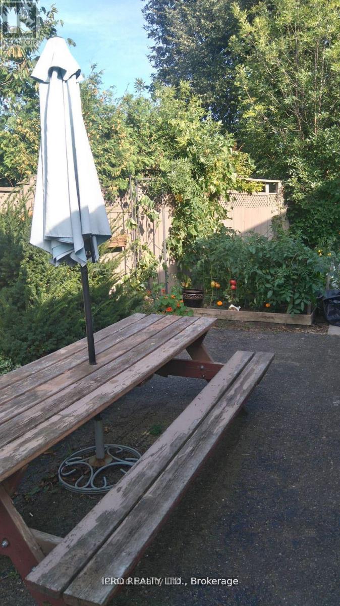 62 AMBLESIDE DRIVE - 11