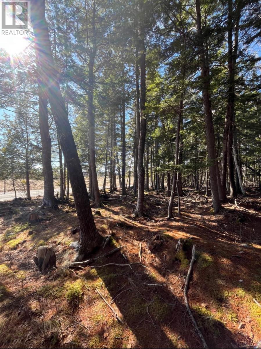 Property 1 of 7 of 18 Acres Highway 256