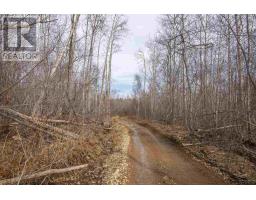 Lot 2 Flat Iron Road, Conway, NS B0V1A0 Photo 23