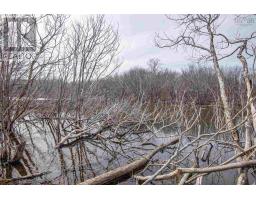 Lot 2 Flat Iron Road, Conway, NS B0V1A0 Photo 20