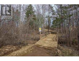 Lot 2 Flat Iron Road, Conway, NS B0V1A0 Photo 10