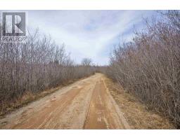 Lot 2 Flat Iron Road, Conway, NS B0V1A0 Photo 19