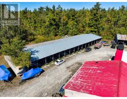 21 Taylor Street, Kawartha Lakes, ON K0M1A0 Photo 32