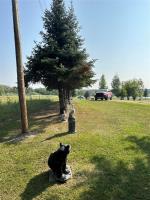 4 Main Street, Manigotagan, MB R0A0A0 Photo 44