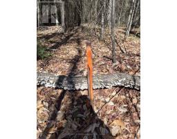 27681 Highway 60 Highway, South Algonquin, ON K0J2M0 Photo 18