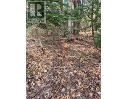 27681 Highway 60 Highway, South Algonquin, ON K0J2M0 Photo 20