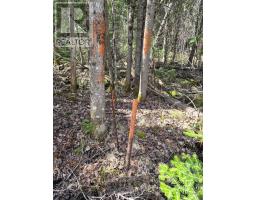 27681 Highway 60 Highway, South Algonquin, ON K0J2M0 Photo 19