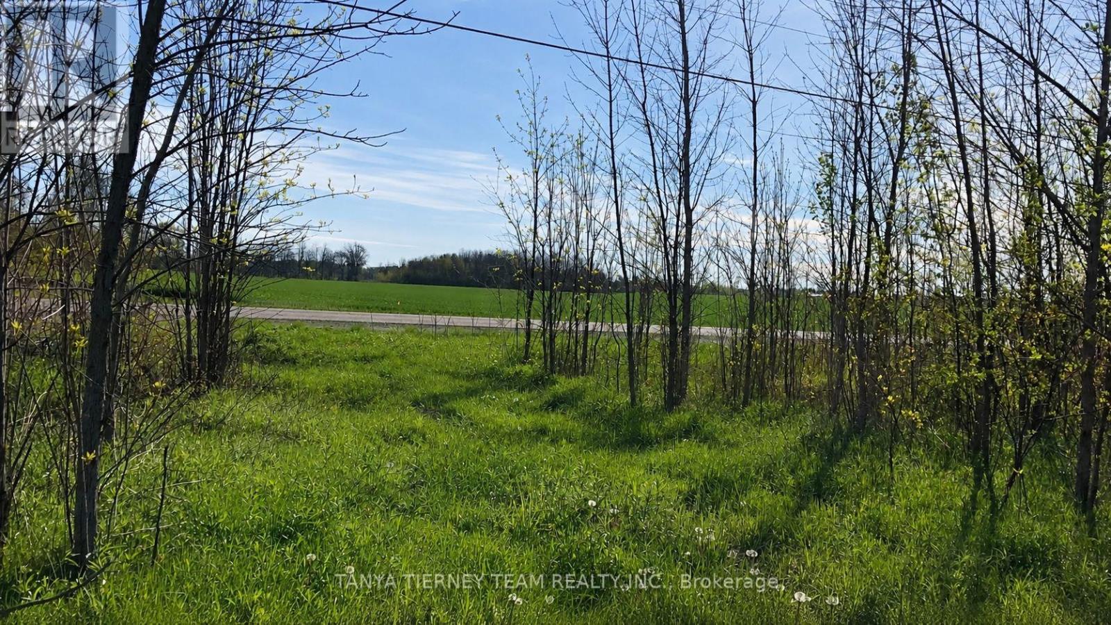 2640 CONCESSION 8 ROAD - 43