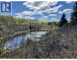 14203 217 Road, Goodlow, BC V0C1S0 Photo 30