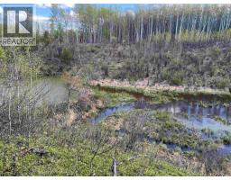 14203 217 Road, Goodlow, BC V0C1S0 Photo 32