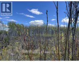 14203 217 Road, Goodlow, BC V0C1S0 Photo 31