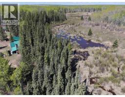 14203 217 Road, Goodlow, BC V0C1S0 Photo 38