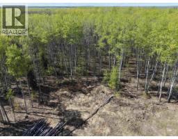 14203 217 Road, Goodlow, BC V0C1S0 Photo 35