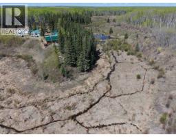 14203 217 Road, Goodlow, BC V0C1S0 Photo 36