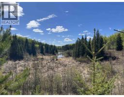 14203 217 Road, Goodlow, BC V0C1S0 Photo 20