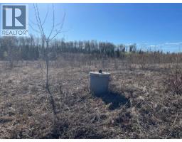 Lot 3 Mcconachie Creek Road, Fort Nelson, BC V0C1R0 Photo 8