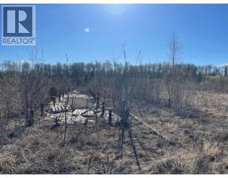 Lot 3 Mcconachie Creek Road, Fort Nelson, BC V0C1R0 Photo 6