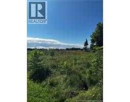 Vacant  Lot Beausoleil Street, Grande Digue, NB E4R3W2 Photo 6