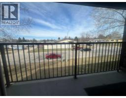 217a, 5611 10 Avenue, Edson, AB T7E1R4 Photo 23