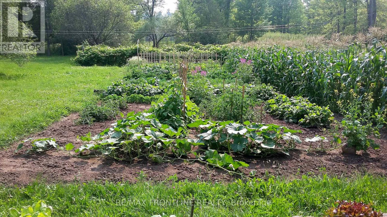 1189 WILLIS-ARMSTRONG ROAD - 29