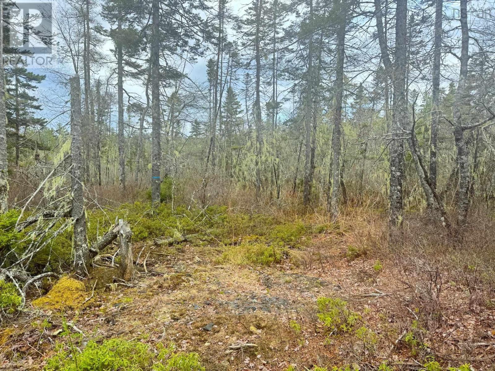 Property 7 of 9 of Lot A & B Highway 332