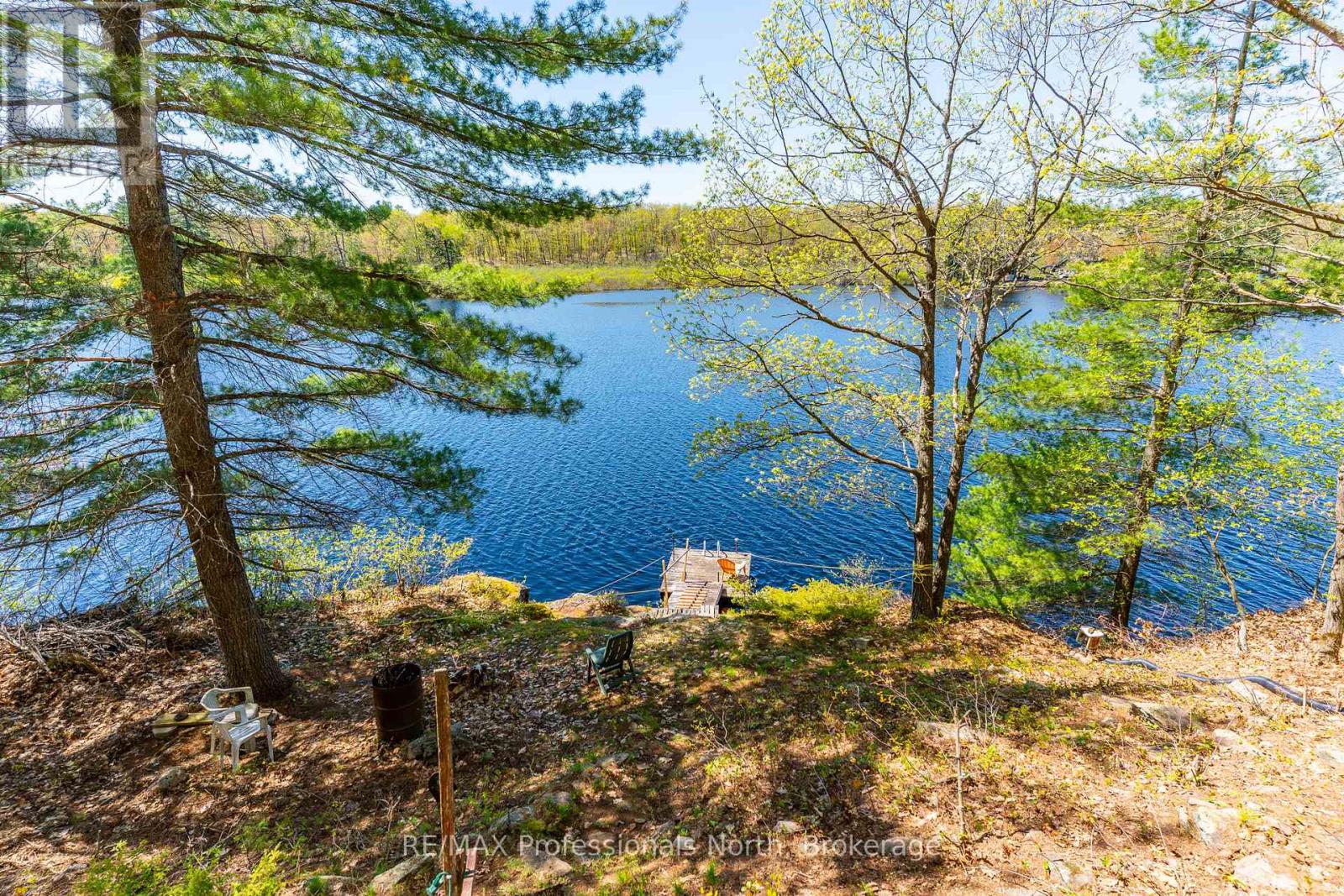 1011 PALOMINO TRAIL - 5