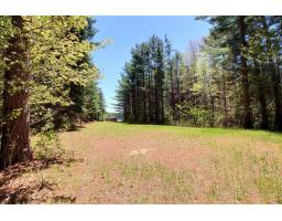 160 Route 105, Messines, QC J0X2J0 Photo 35