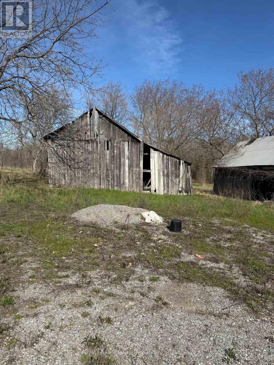 303 BRIMLEY ROAD S - 13